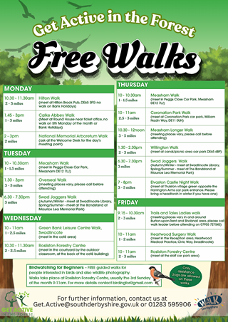 Get Active in the Forest poster